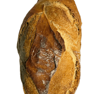 Épautre Bio